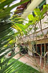 Braddell Heights Estate (D13), Semi-Detached #412780621